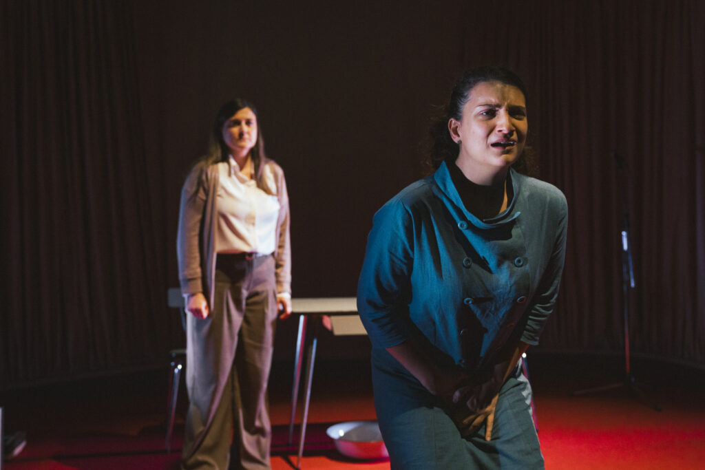 El acontecimiento_LaPerraCoja x NereaColl 120